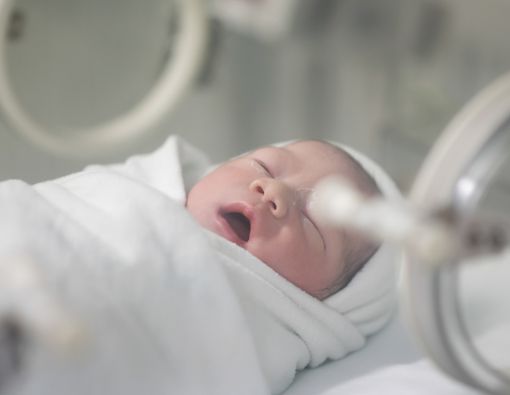 Apa Perbedaan Bayi Tabung dan Inseminasi Buatan?