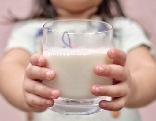 Intoleransi Laktosa Bisa Sembuh?