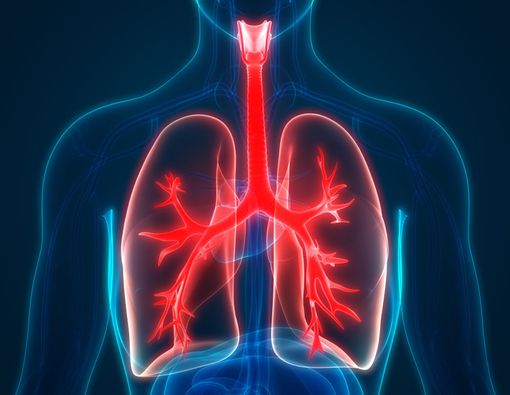 Waspadai Tanda-Tanda Masalah Paru-Paru Ini