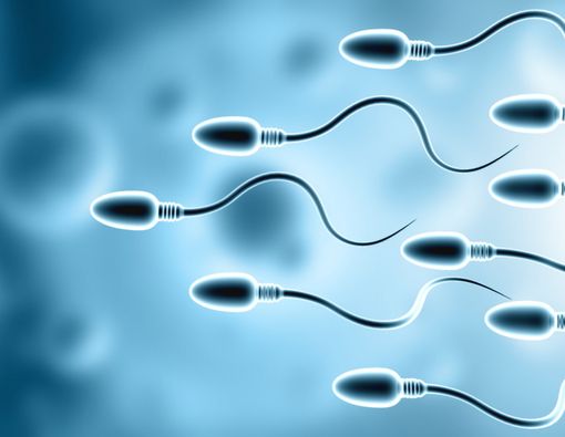 Catat! Ini Bau Sperma Normal dan Tidak Normal