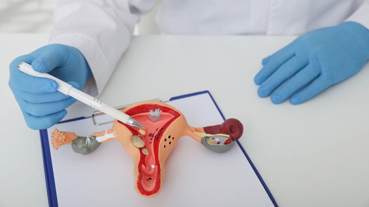 Fungsi dan Struktur Rahim serta Gangguan yang Bisa Terjadi