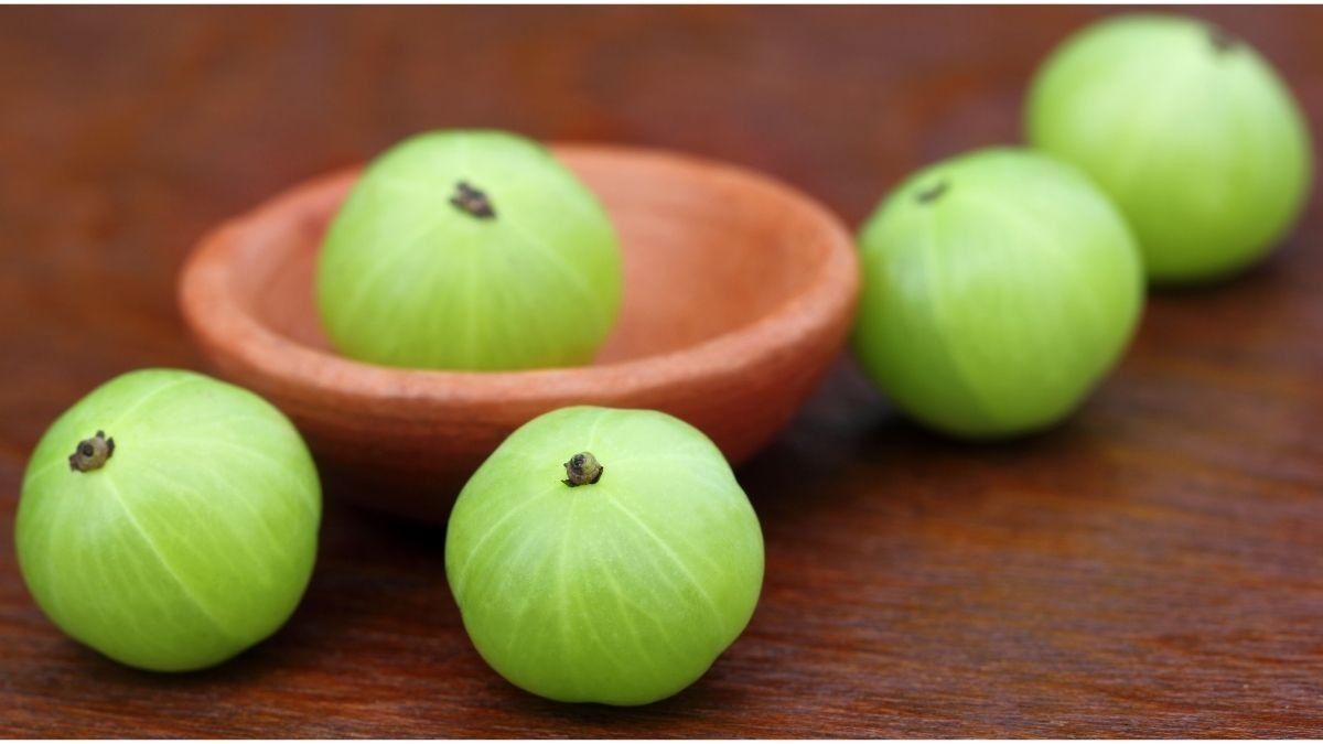 Manfaat Buah Amla atau Indian Gooseberry untuk Ibu Hamil