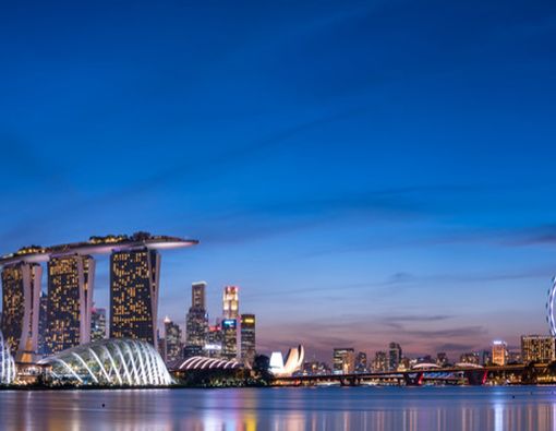 Tips Hindari Cacar Monyet Jika Harus ke Singapura