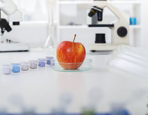 Manfaat dan Nilai Gizi dari Sebuah Apel