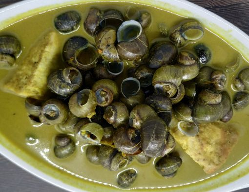 Bolehkah Ibu Hamil Makan Tutut atau Keong Sawah?