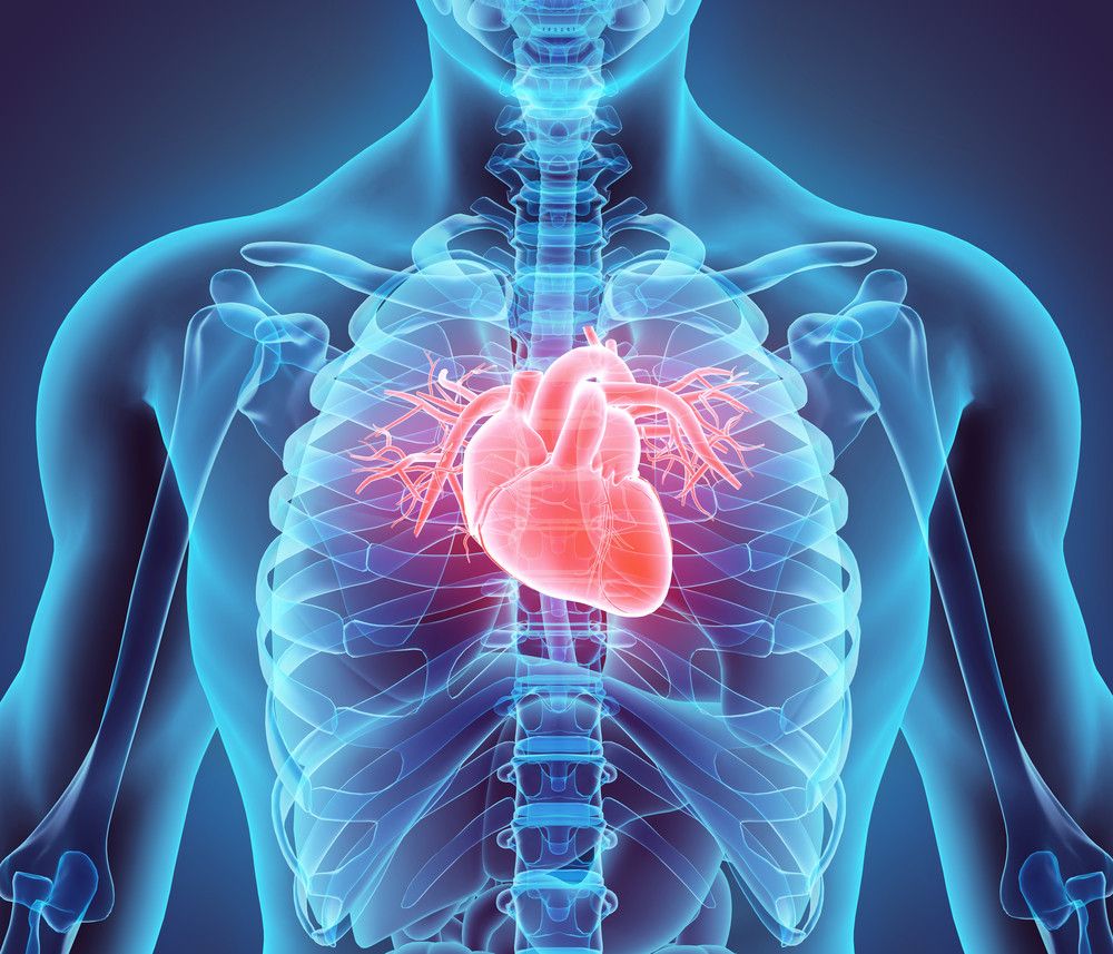 Usia Jantung Pengaruhi Risiko Stroke dan Serangan Jantung