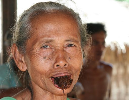 Dampak Mengunyah Tembakau pada Kesehatan Gigi dan Mulut