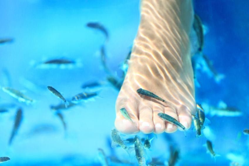 Efektifkah Fish Spa untuk Mengatasi Infeksi Jamur di Kaki?