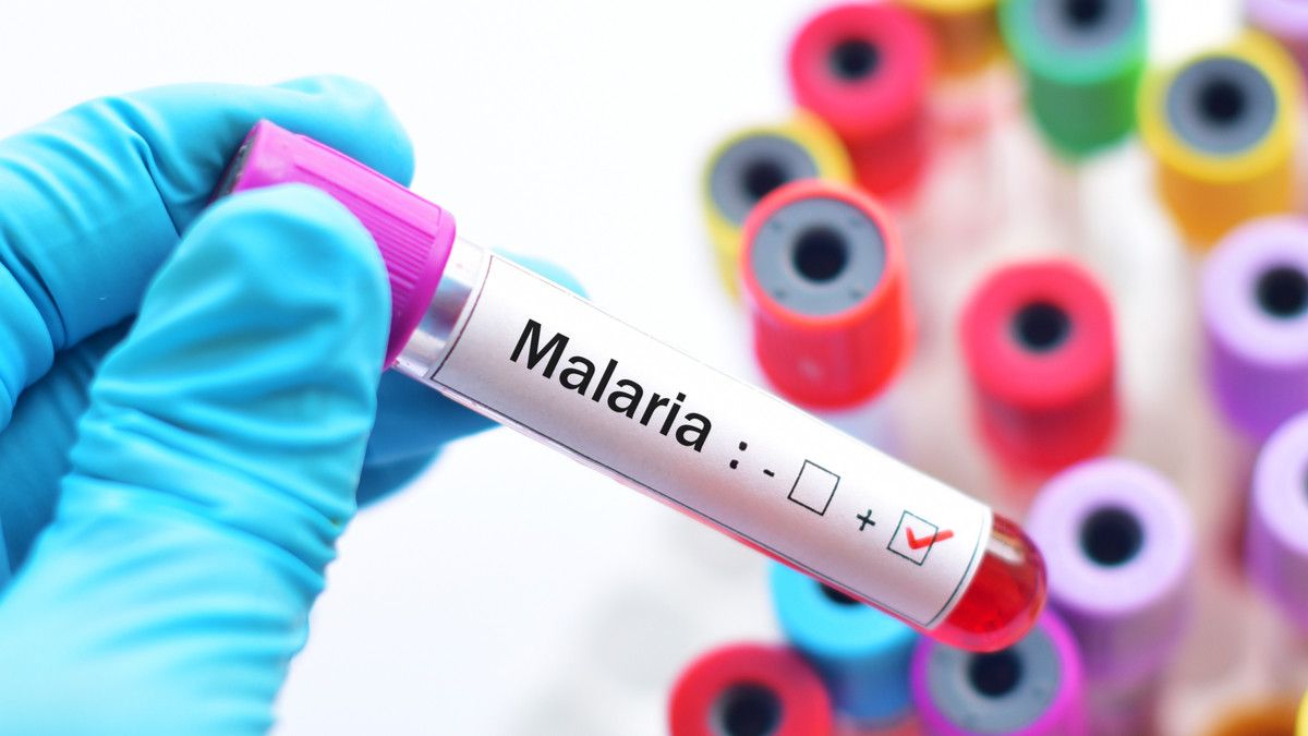 Daftar Bahan Alami untuk Redakan Gejala Malaria