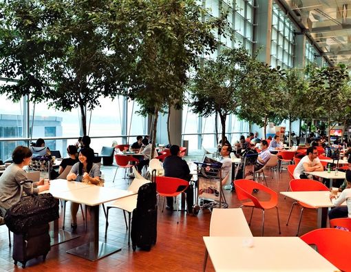 Pilihan Camilan Sehat Saat Berada di Bandara