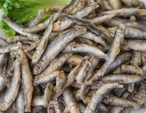 Manfaat Ikan Teri untuk Ibu Hamil