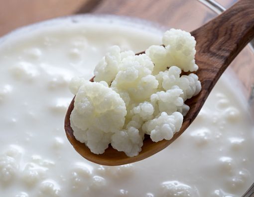 Ragam Manfaat Kefir untuk Kesehatan