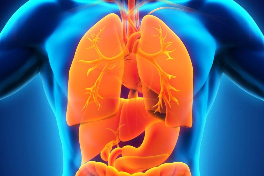 Apa Saja Manfaat Berpuasa untuk Kesehatan?