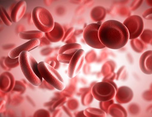 5 Fakta Thalassemia yang Perlu Anda Tahu
