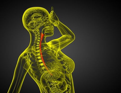 Yalangoch Katya Osadchayaning soxta porno fotosuratlari