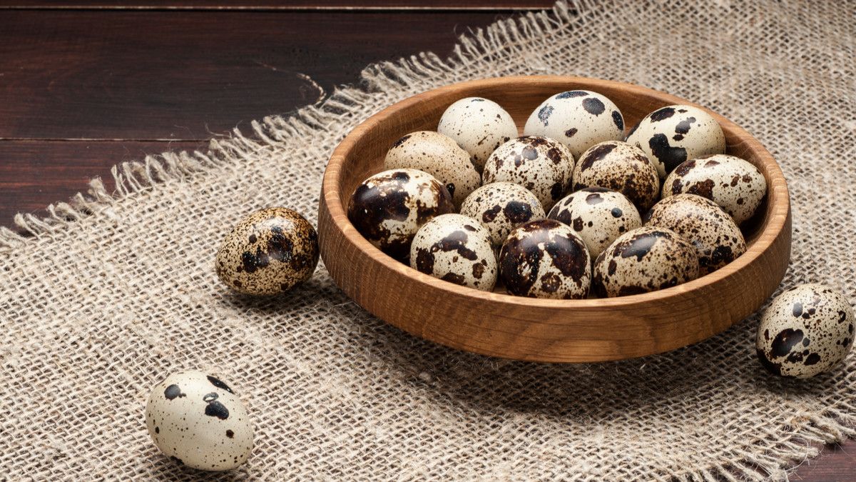 Amankah Memberi Anak di Bawah 1 Tahun Makan Telur Puyuh?