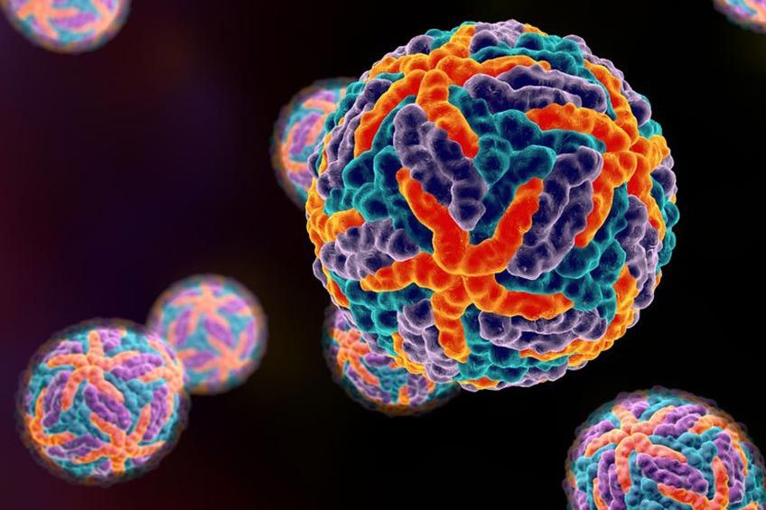 Virus Dengue: Kecil, Unik, dan Berbahaya