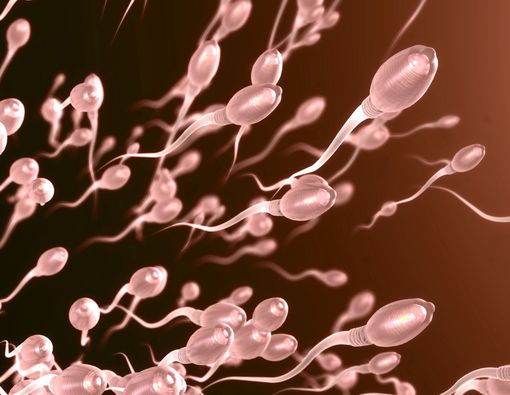 Tingkatkan Kualitas Sperma dengan 7 Cara Alami Ini