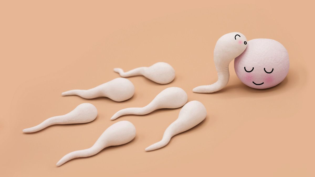 Kenali Tanda-Tanda Oligospermia, Kondisi Jumlah Sperma Sedikit