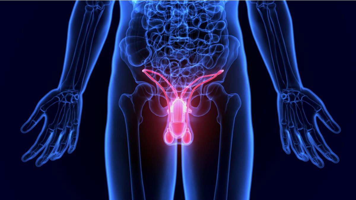 4 Tips Menjaga Kesehatan Organ Reproduksi Pria