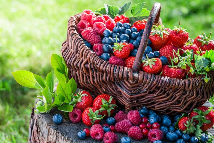 Berries, Buah untuk Jaga Kualitas Ingatan Anda