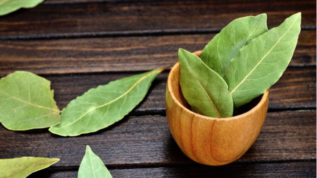 Obati Asam Urat dengan Daun Salam, Efektifkah?