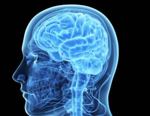 Benarkah Obesitas Pengaruhi Kinerja Otak?