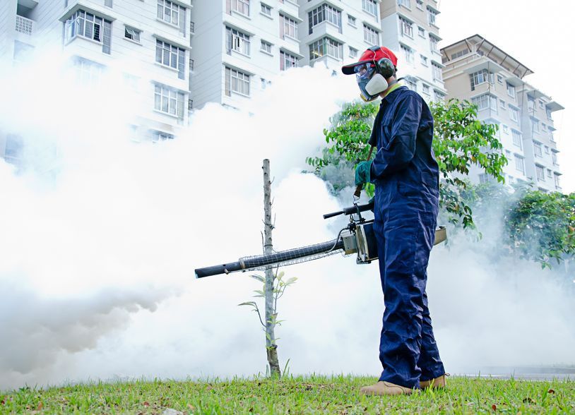 Harapan Baru untuk Mencegah Malaria