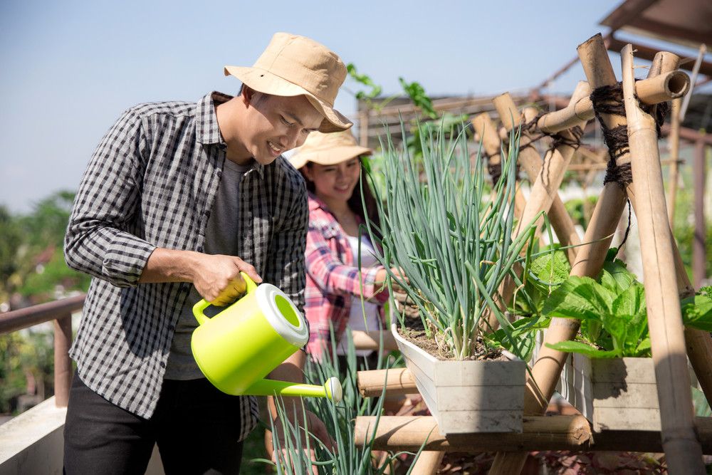 Menilik Manfaat Urban Farming untuk Kesehatan