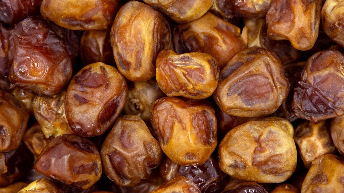 Manfaat Kurma Sukari untuk Kesehatan Anda