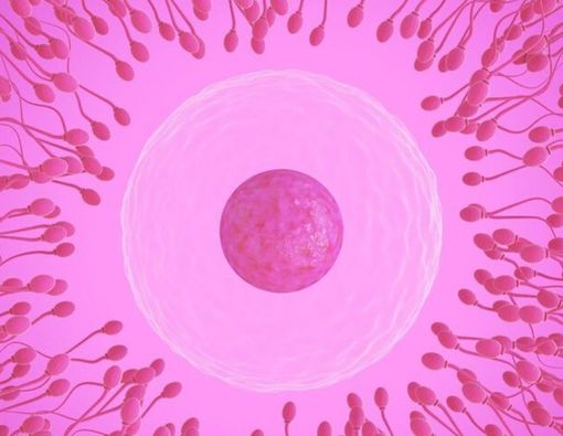 Penyebab Wanita Alergi Sperma dan Cara Mengatasinya