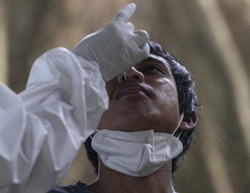 Gejalanya Mirip, Tipes dan COVID-19 Berhubungan?