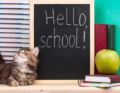 Memilih TK untuk Anak Berkebutuhan Khusus