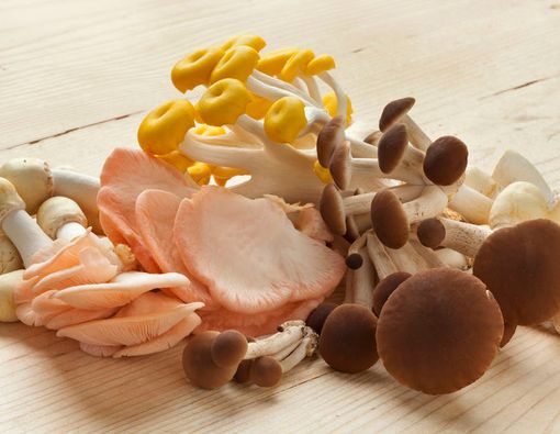 4 Makanan Terbaik Peningkat Sistem Imunitas Tubuh