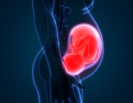 Bisakah Bayi Menangis Saat Masih dalam Kandungan?