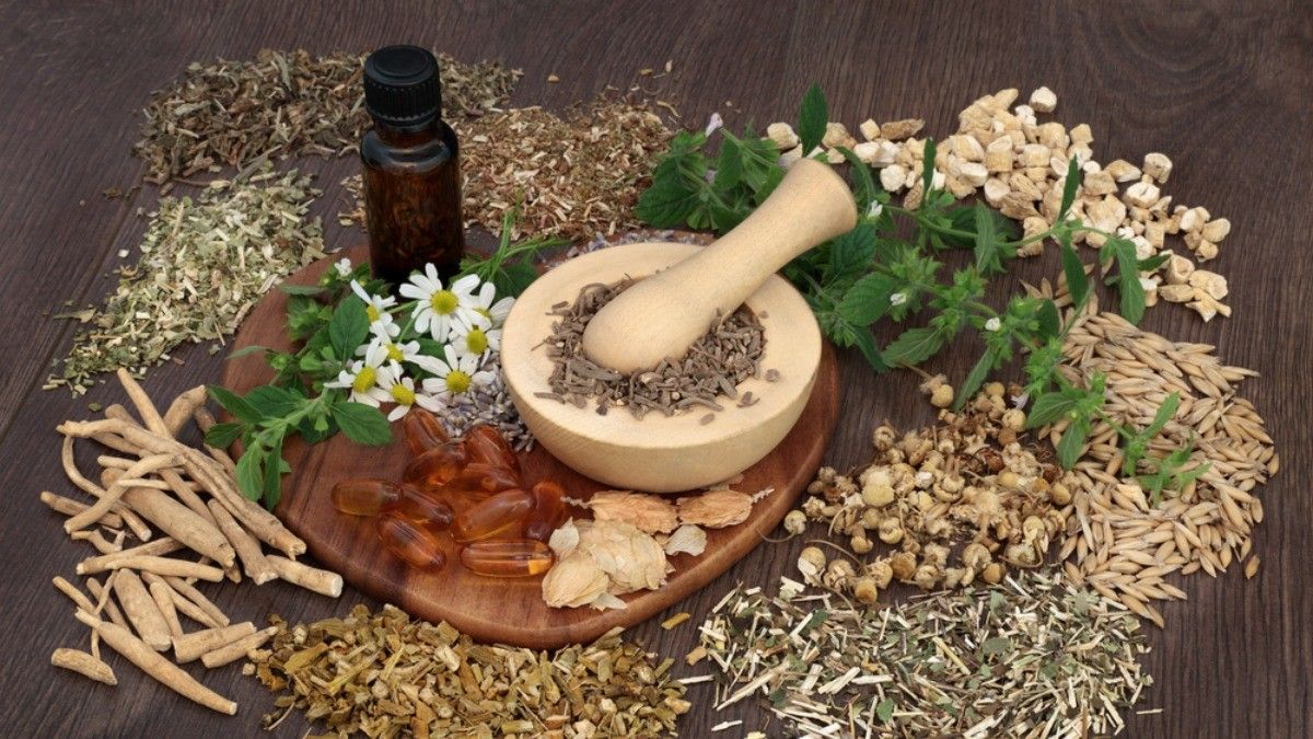 Terapi Herbal Ampuh Sembuhkan Penyakit