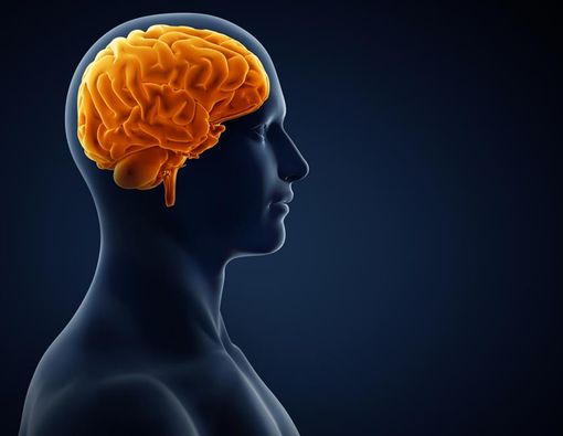 Penyebab Perdarahan Otak yang Dialami Sir Alex Ferguson