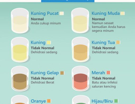 Mengetahui Kondisi Kesehatan dari Warna Urine