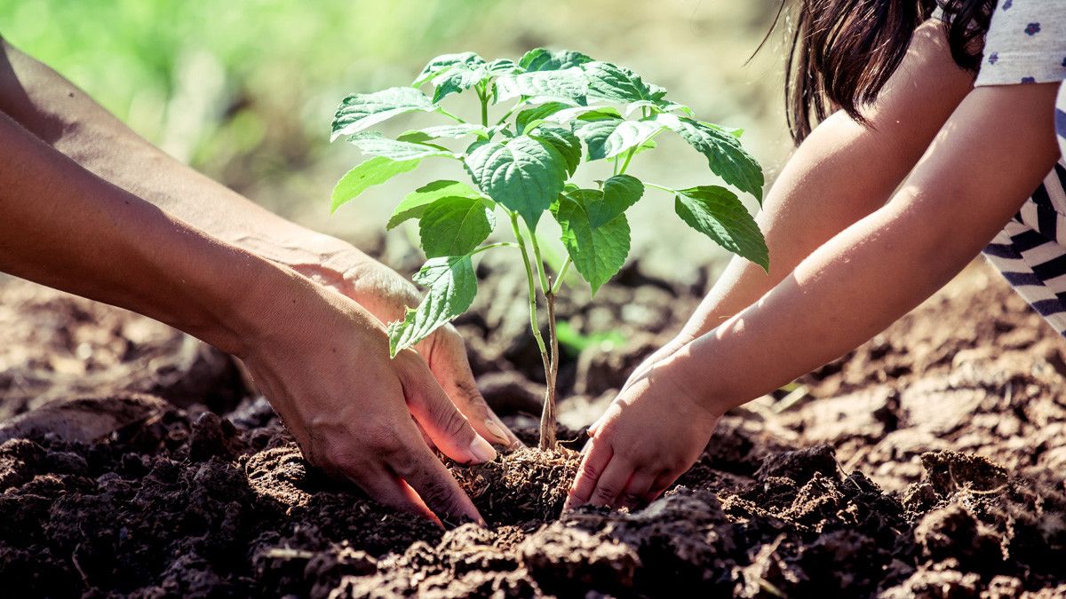 Hobi Berkebun? Waspada Kram, Kebas, dan Kesemutan!