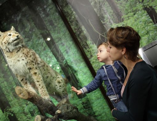 5 Kegiatan Berkualitas untuk Mengisi Liburan si Kecil