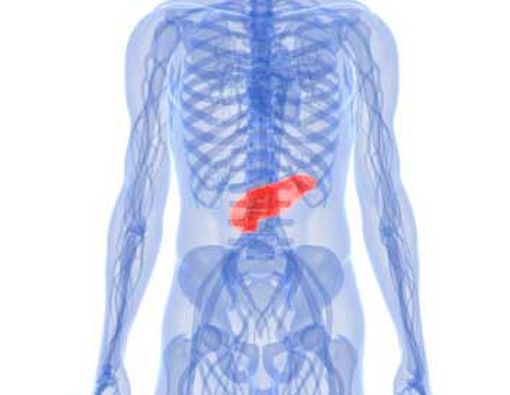 Kanker Pankreas: Uji Coba Obat MRK003 Menunjukkan Prospek yang Menjanjikan