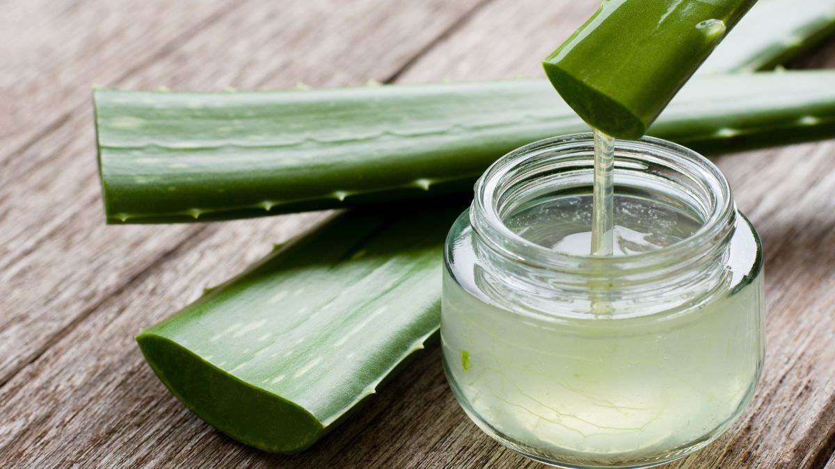Gel Lidah Buaya