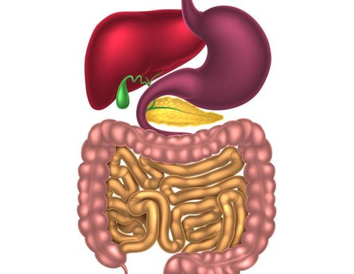 Manfaat Prebiotik Inulin bagi Kesehatan Anak