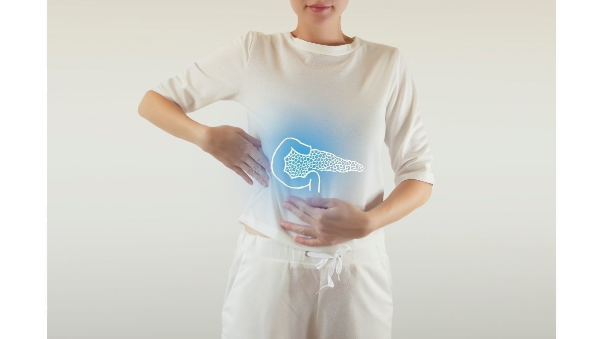 Mengenal Pankreas, Mulai dari Fungsi Hingga Risiko Penyakitnya