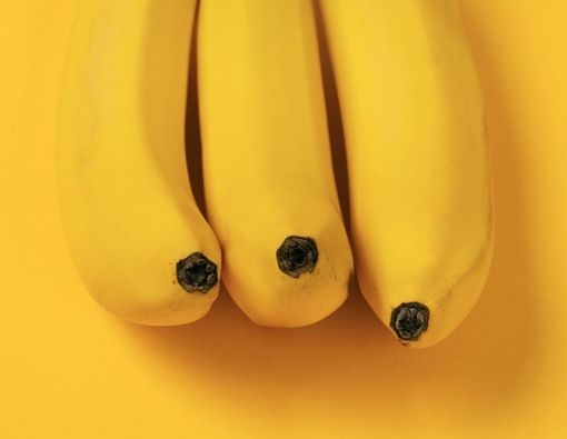 Bayi Lahir dengan Tiga Penis, Ketahui Kondisi Triphallia