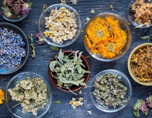 Rekomendasi Herbal untuk Mengatasi Sinusitis