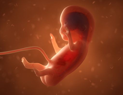 Cairan Otak Janin Berlebih, Berbahayakah?