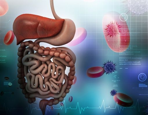Mengenal Pankreas Buatan untuk Pasien Diabetes Tipe 1