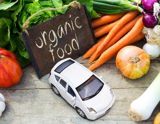 Makanan Organik Dapat Cegah Alergi pada Anak?