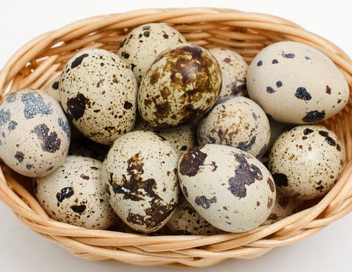 Manfaat Telur Puyuh untuk Menu MPASI